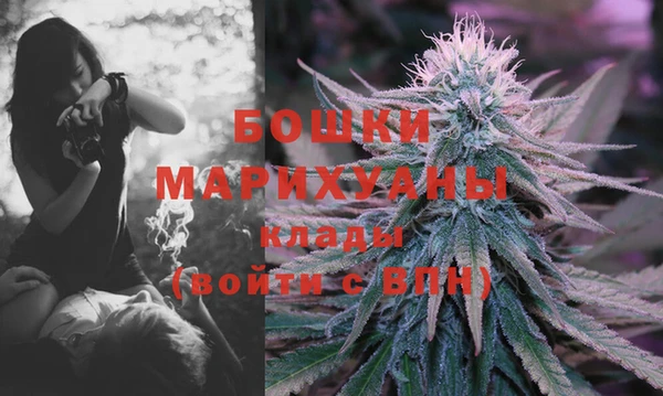 PSILOCYBIN Баксан