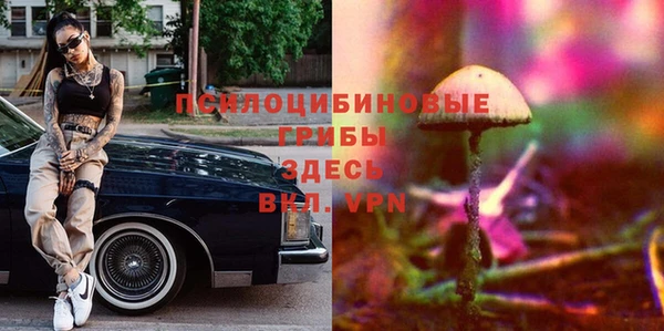 PSILOCYBIN Баксан