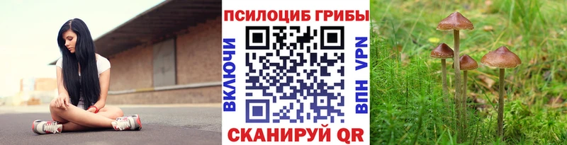Купить  Серпухов  Псилоцибиновые грибы Psilocybine cubensis 